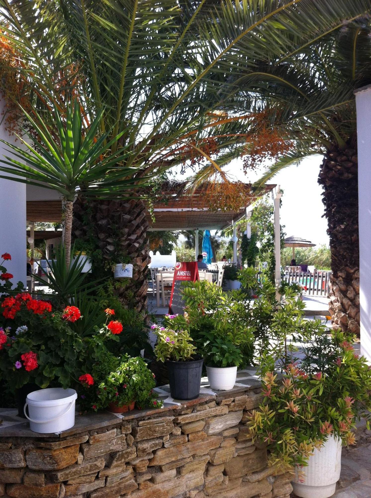 Hotel Plaka Camping Naxos Exterior foto